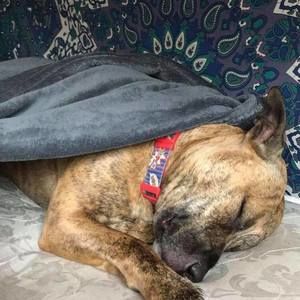 Meet your Posher, Chloe